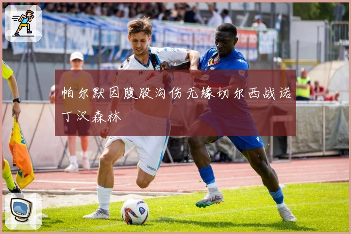 帕尔默因腹股沟伤无缘切尔西战诺丁汉森林